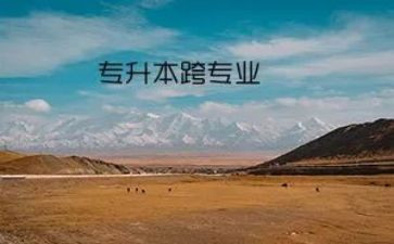 跨专业工作心得体会6篇