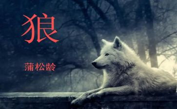 《狼》的作文600字6篇