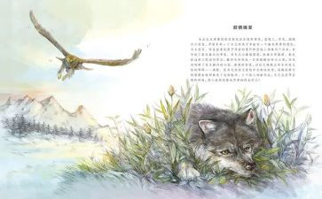 《狼王梦》的读后感400字精选6篇