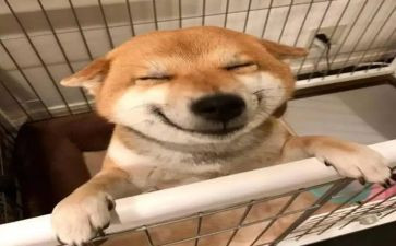 你快乐我就快乐作文400字精选8篇