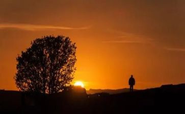 离别母校的作文8篇