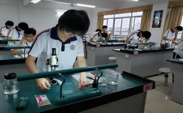 理化生教研组计划工作计划最新6篇