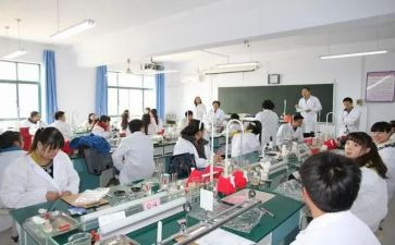 理化生教研组计划工作计划7篇