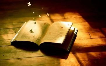 理解宽容类作文推荐6篇