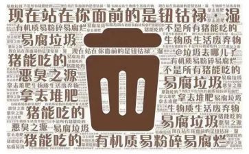 开展捡垃圾活动总结7篇