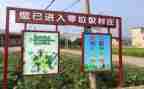 垃圾分类宣传活动总结总结7篇