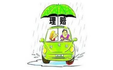 2024年保险理赔工作总结5篇