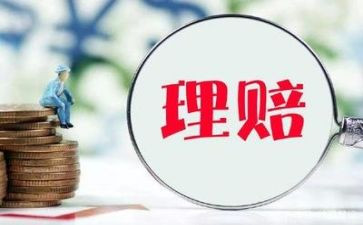 理赔工作年总结个人总结5篇