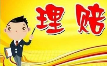 理赔工作总结个人总结8篇