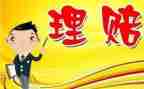 理赔工作总结个人总结8篇