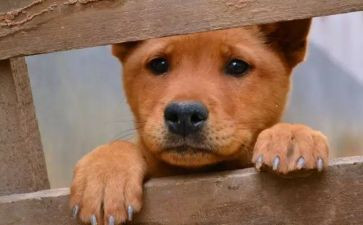 《流浪地球》电影观后感参考5篇