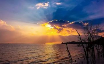 留恋时光的作文5篇