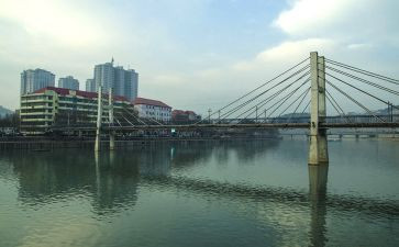 《柳林风声》读后感优秀7篇
