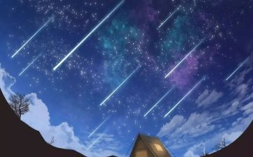 流星作文5篇