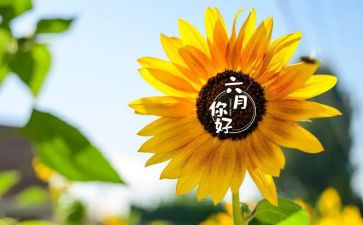 幼儿园六月总结5篇