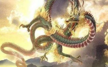 九龙江作文8篇