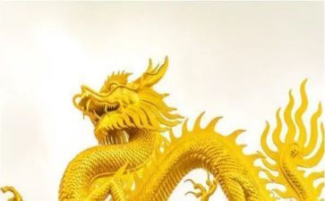 龙的歌教案优质5篇