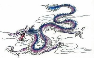 拼龙舟活动方案5篇