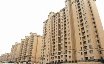 楼栋管理员的年终总结5篇