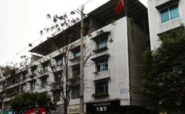 楼院支部工作计划参考5篇