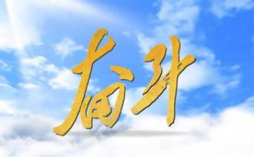 我努力了作文300字8篇