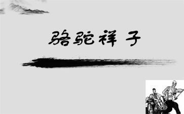 祥子与骆驼的读后感推荐6篇