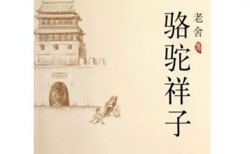 骆驼的祥子读后感500字6篇