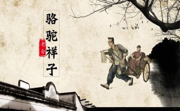 祥子与骆驼的读后感模板7篇