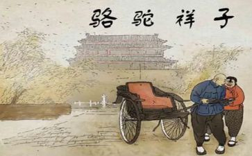 骆驼的祥子14章的读后感8篇