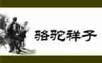 骆驼的祥子读后感500字精选5篇