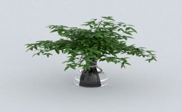 绿色环保教育主题班会教案7篇