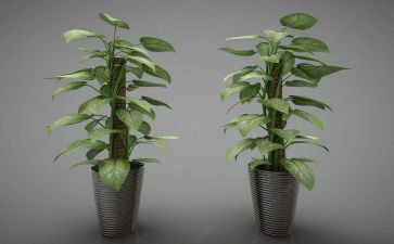 绿色发展活动总结5篇