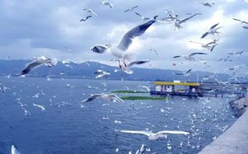 旅游情况调研报告5篇