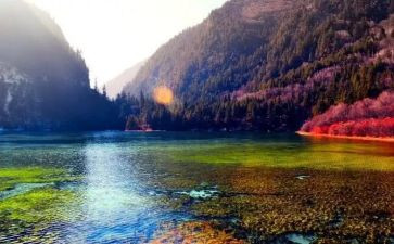 青甘旅游心得体会范文7篇