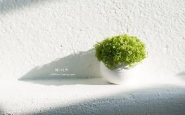 慢慢作文800字8篇