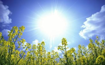 卷三满分作文优质7篇