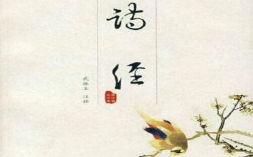 氓读后感1000字5篇