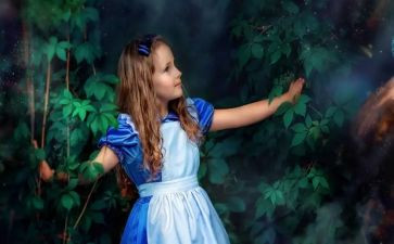 漫游记读后感参考8篇