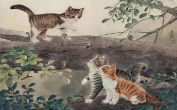 描写猫的作文200到300字推荐7篇