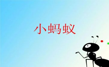 小班科学小蚂蚁教案8篇