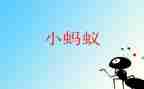 小班科学小蚂蚁教案8篇