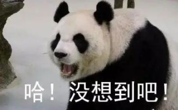 没想到真没想到作文8篇