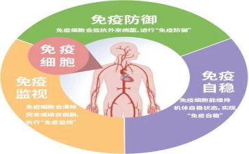 村卫生室免疫工作总结7篇