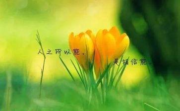 名人事迹的作文推荐8篇