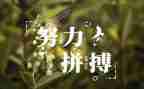 关于名人的优秀作文6篇