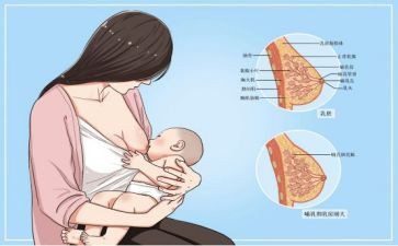 2024年母乳喂养宣传活动总结6篇
