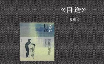 《目送》作文优质6篇