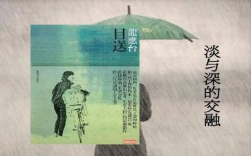 《目送》心得体会推荐5篇
