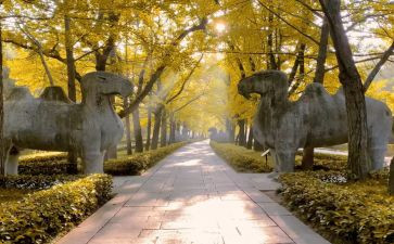 游南京的作文8篇