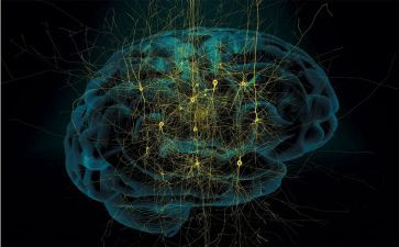 电脑签合同推荐6篇